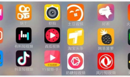 最火短视频软件是,揭秘最火软件背后的秘密